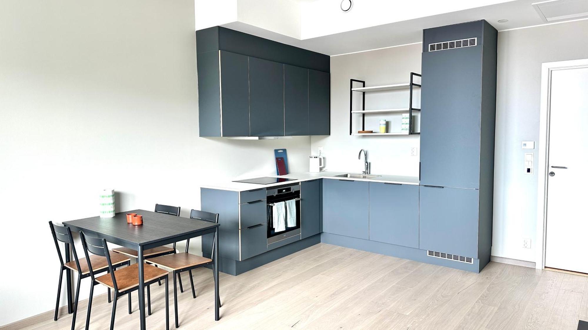 Brand New And Modern Apartment In Oslo Center Buitenkant foto