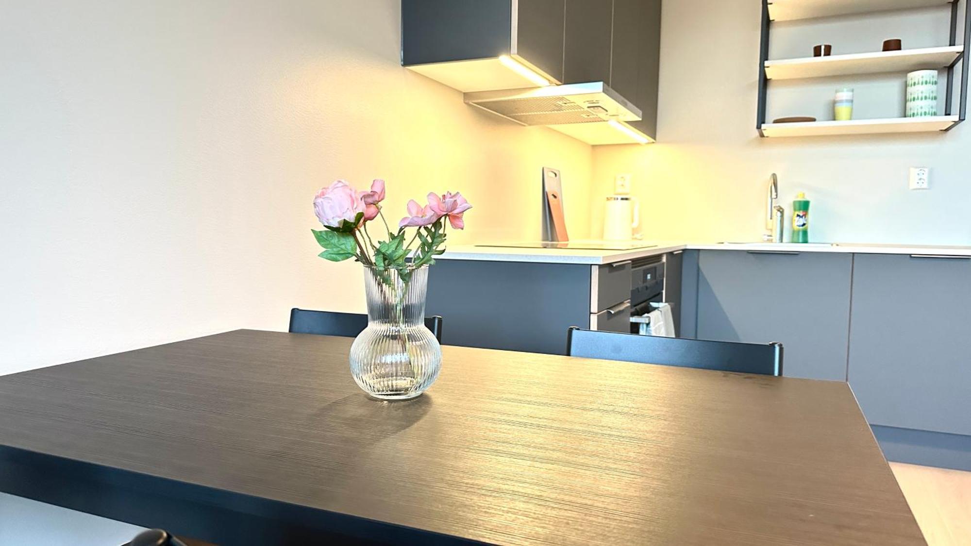 Brand New And Modern Apartment In Oslo Center Buitenkant foto